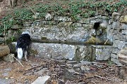 Alle spettacolari Sorgenti dell’Enna da Vedeseta di Val Taleggio l’8 aprile 2019- FOTOGALLERY